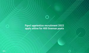 PGVCL Apprentice Recruitment 2022 Apply Online for 400 Lineman Positions