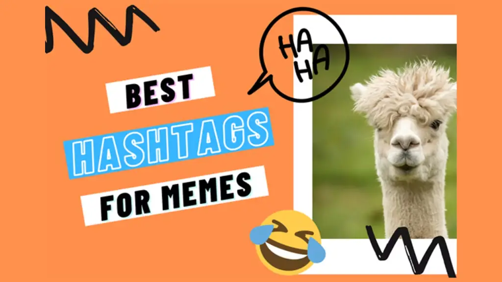 Instagram Hashtags For Memes