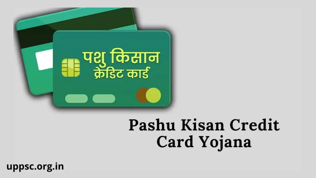 pashu kisan credit card