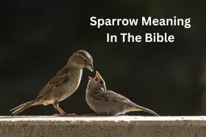 Sparrow Meaning In The Bible