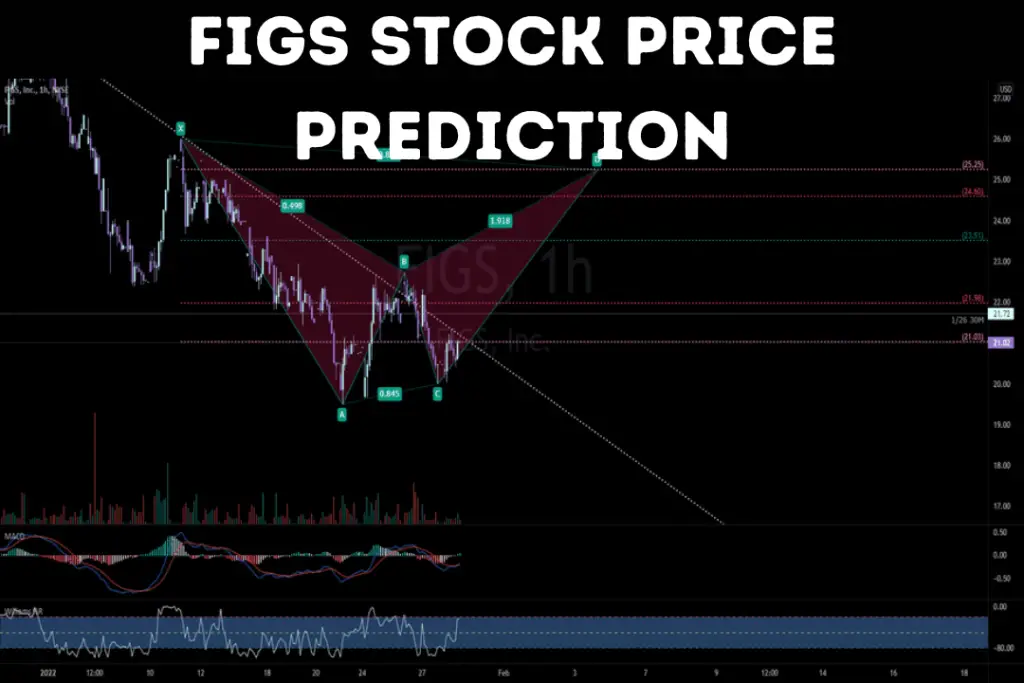 Figs Stock Price Prediction