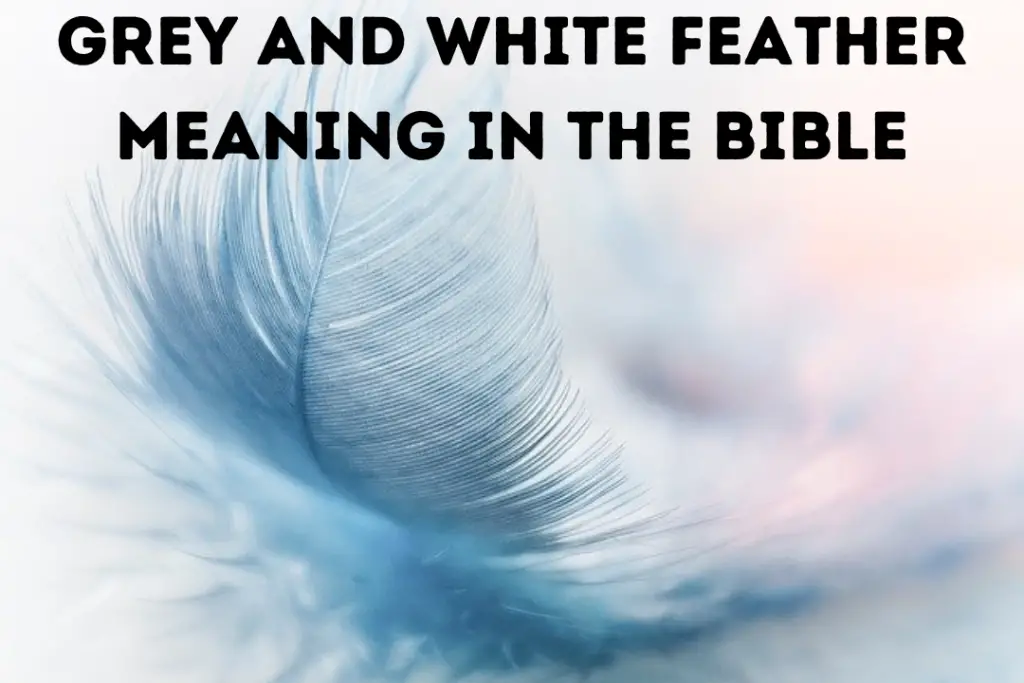 Grey And White Feather Meaning In The Bible
