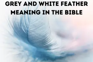 <strong>Grey And White Feather Meaning In The Bible</strong>