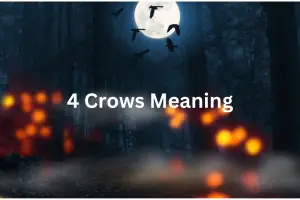 4 Crows Meaning - What Does Seeing 4 Crows Mean Spiritually?