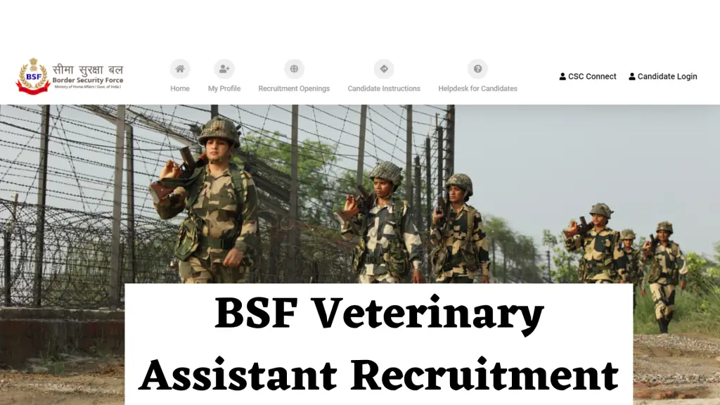 BSF Veterinary Assistant Recruitment