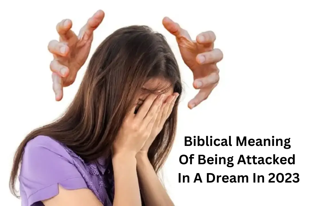 Biblical Meaning Of Being Attacked In A Dream In 2023