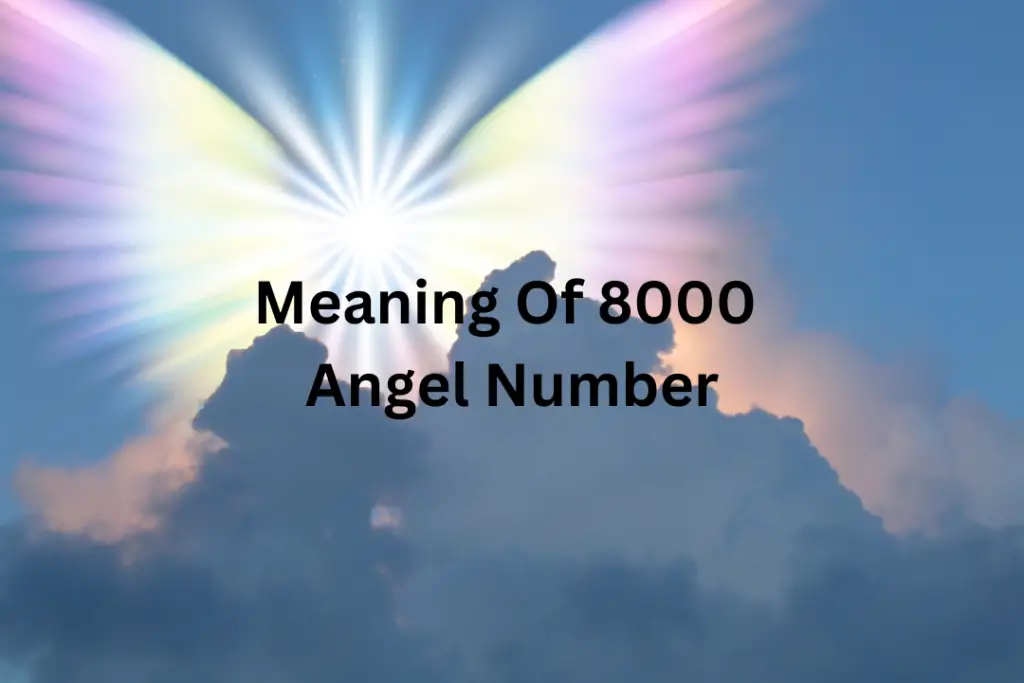 8000 Angel Number