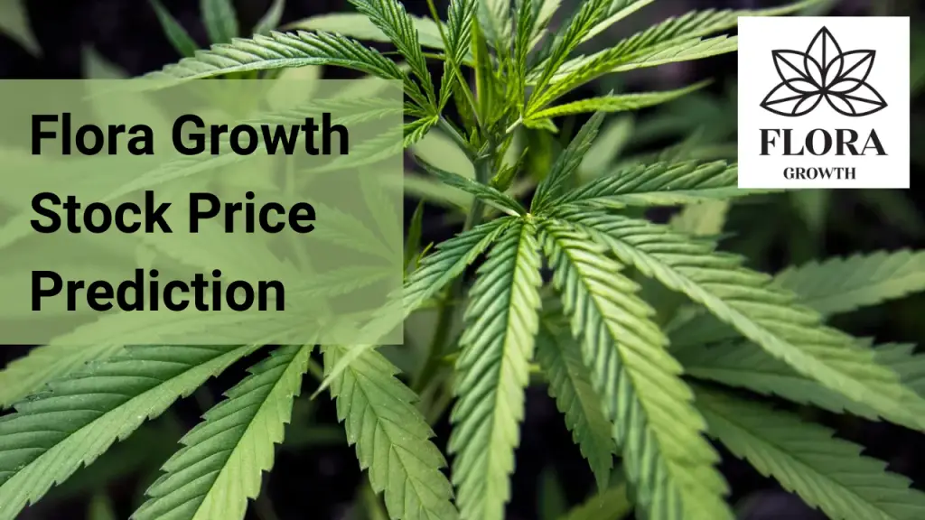 Flora Growth Stock Price Prediction