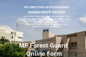 MP Forest Guard Online Form, एमपी फॉरेस्ट गार्ड में निकली बंपर वैकेंसी, शीघ्र आवेदन करें