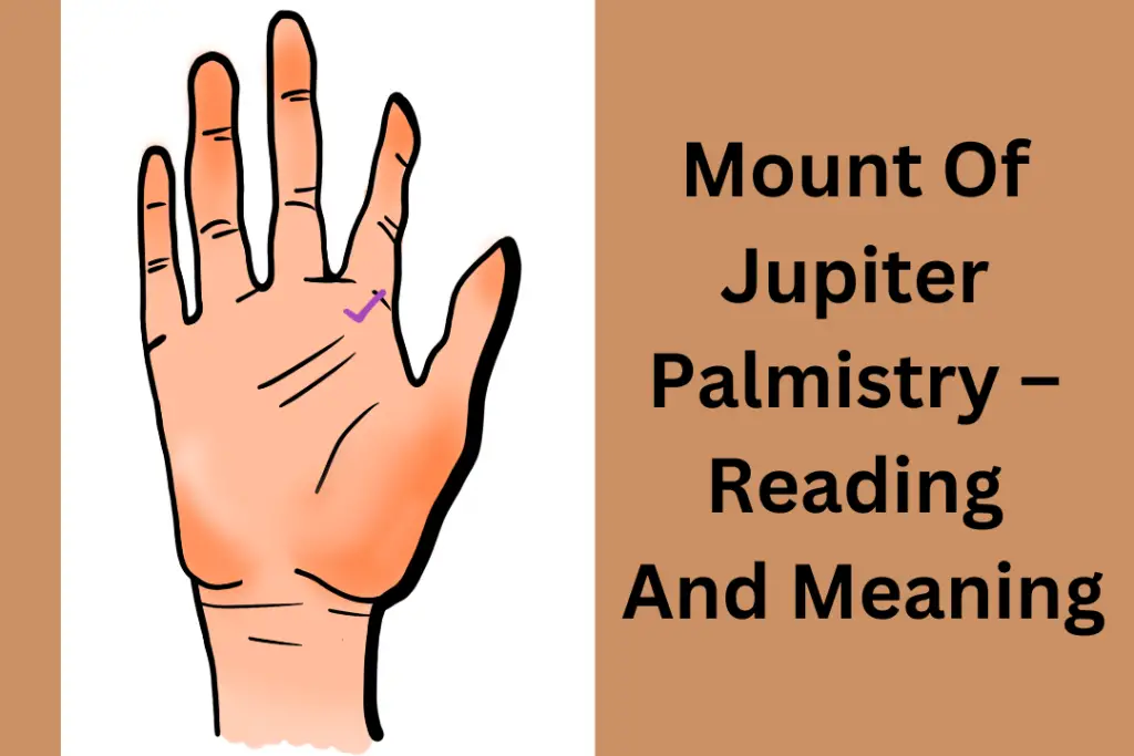 Mount Of Jupiter Palmistry