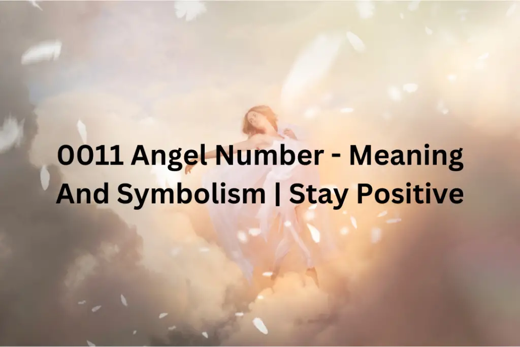 0011 Angel Number