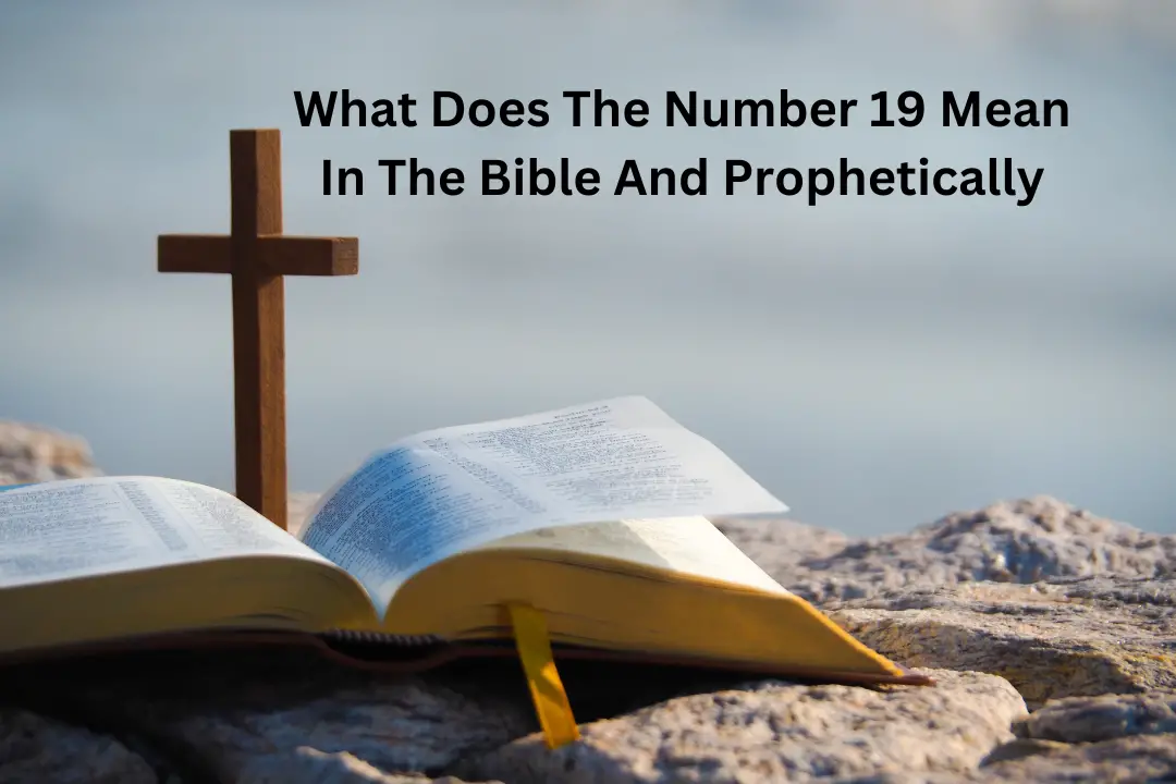 what-does-the-number-19-mean-in-the-bible-and-prophetically-uppsc