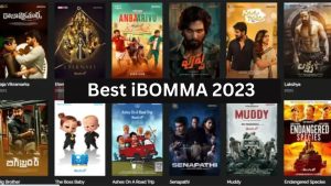 Best iBOMMA 2023 | iBOMMA Telugu Movie | iBOMMA 2023 – Telugu Movies New 2023, Watch Telugu & Tamil Movies Online