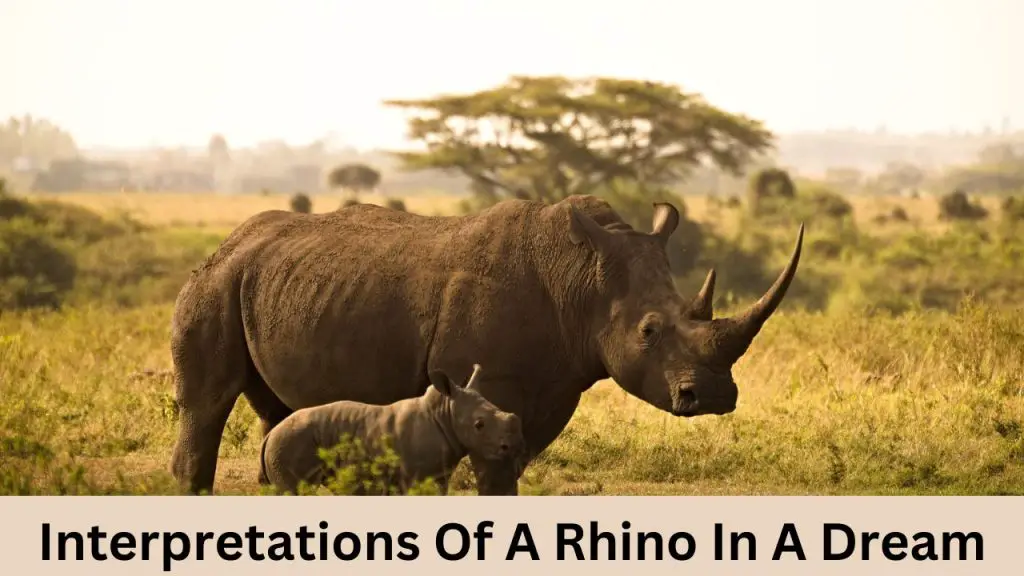 Biblical Meaning Of A Rhino In A Dream