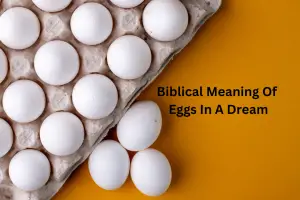 Biblical Meaning Of Eggs In A Dream