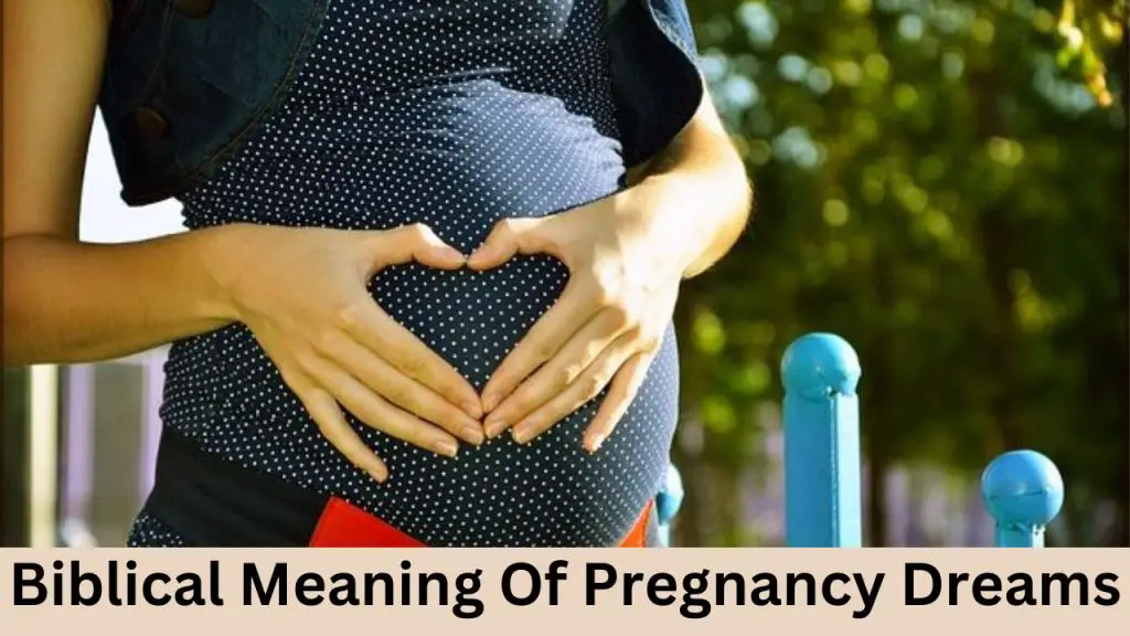 Biblical Meaning Of Pregnancy Dreams