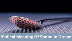 Biblical Meaning Of Spoon In Dream