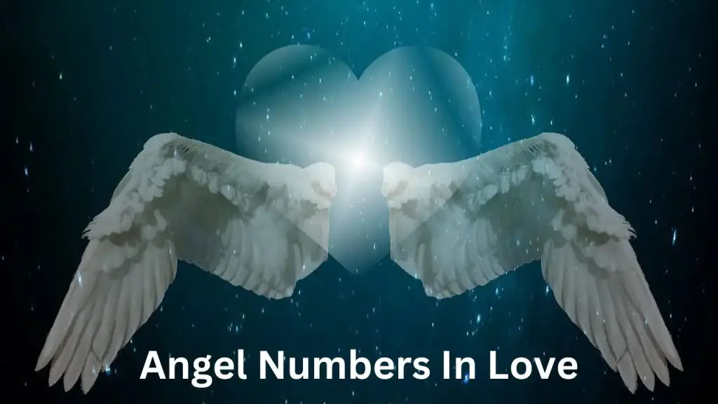 Angel Numbers In Love