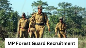 <strong>MP Forest Guard Recruitment 2023 Notification Out, Apply Online for 2112 Posts</strong>