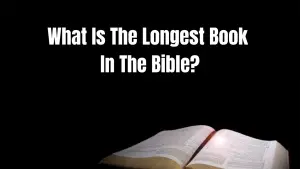 What Is The Longest Book In The Bible? (By Chapters, Verses, Words)