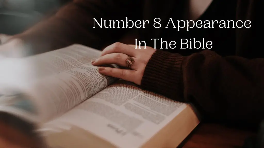 Where Does The Number 8 Appear In The Bible