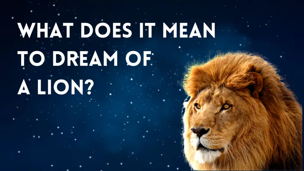 What Does It Mean To Dream Of A Lion