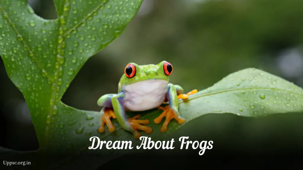 What Does It Mean When You Dream About Frogs