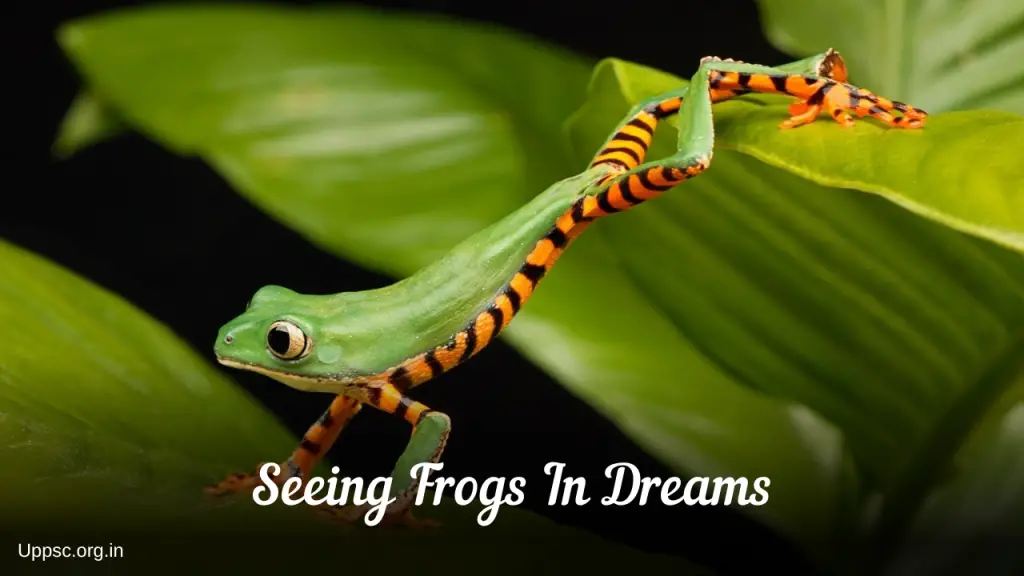 What Does It Mean When You Dream About Frogs